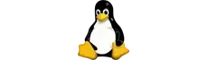 linux digital signage software